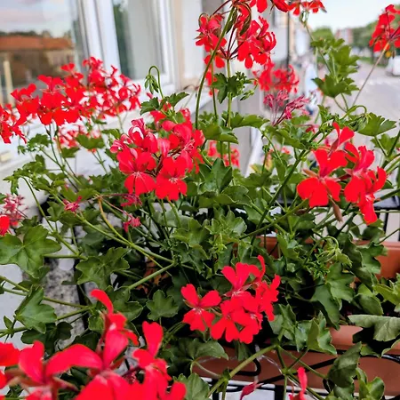 Appartamento Old I With Parking Danzica