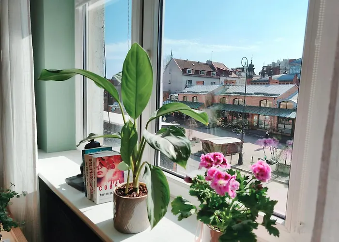 Old I With Parking Gdańsk